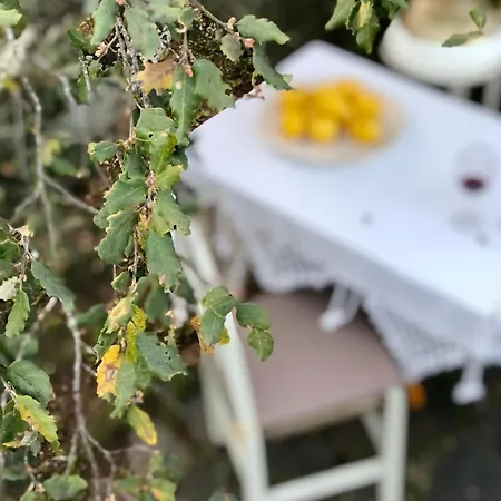 Glamping - La Casa Del Piano Luxury tent