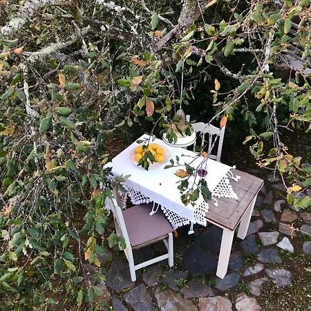 Glamping - La Casa Del Piano Luxury tent