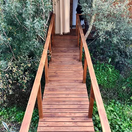 Glamping - La Casa Del Piano *