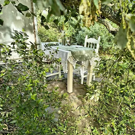 Luxury tent Glamping - La Casa Del Piano Chiclana de la Frontera